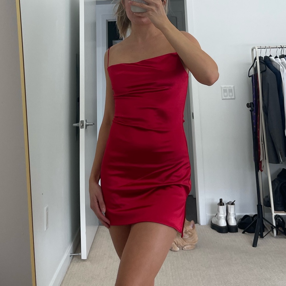 Shiny Red Dress